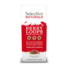 Science Selective Berry Loops Snacks for Guinea Pigs 4ea/2.8 oz.