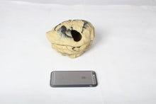 Rock Hideaway: The Ultimate Reptile Sanctuary