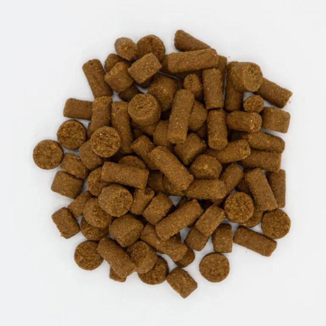 Oxbow Small Animal Real Prey Rewards Treat Turkey 3oz. Default Title