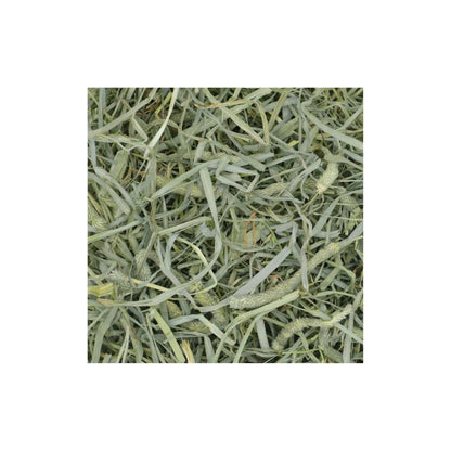 Oxbow Small Animal Prime Crunchy Timothy Hay 20oz. Default Title