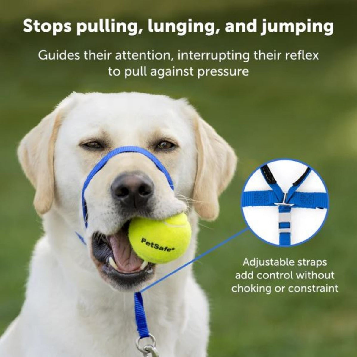 Petsafe Dog Gentle Leader Head Collar Royal Blue Medium