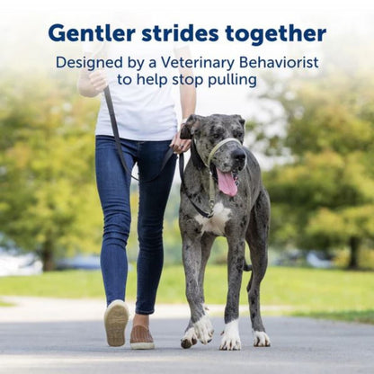 Petsafe Dog Gentle Leader Dog Head Collar Black Medium