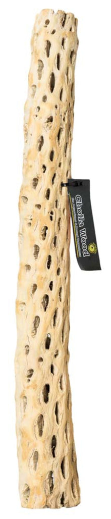Galapagos Cactus Skeleton Cholla Wood Brown 1ea/36 in