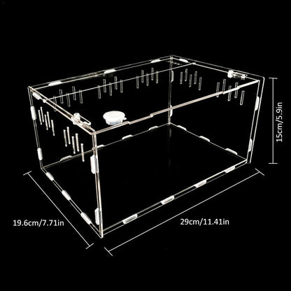Reptile Haven: Crystal Clear Breeding Box For Your Beloved Pets