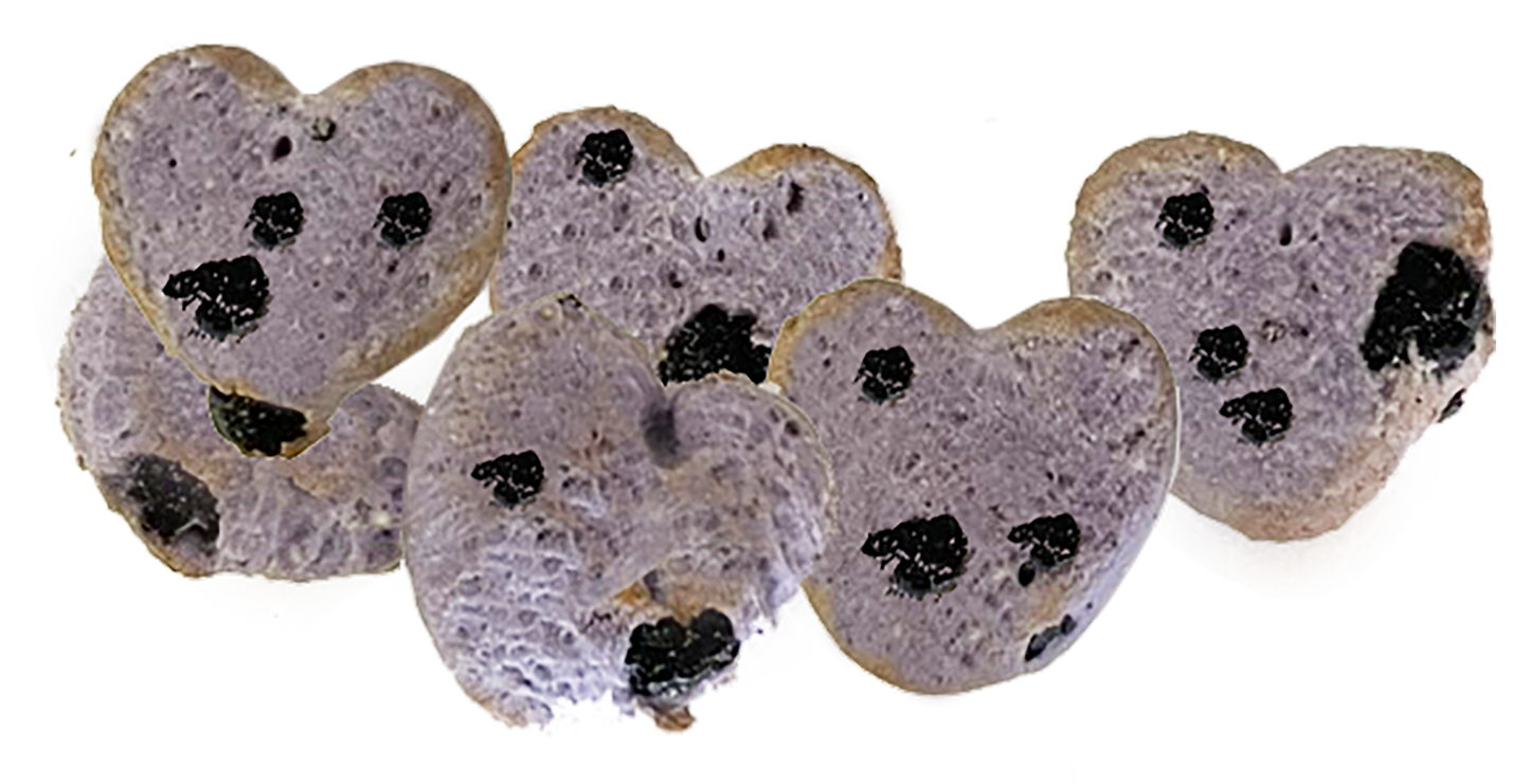 Much Loved Dog™ Blueberry BUNDLE