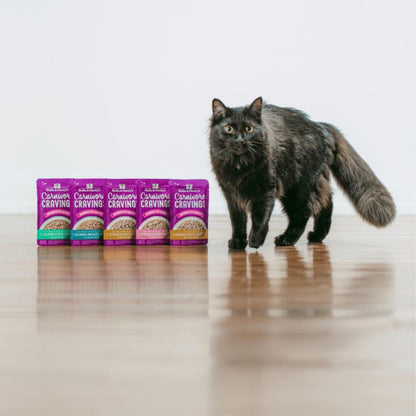 Stella & Chewy's Carnivore Cravings Morsels'N'Gravy Salmon & Mackerel Recipe 2.8oz. Default Title