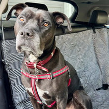 Molly Mutts Dog Cat Car Seat Cover Rough Gem