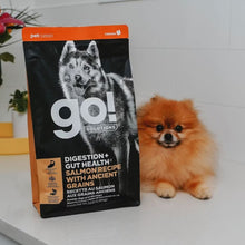 Go! Dog Digestion & Gut Health Salmon Ancient Grain 22Lb