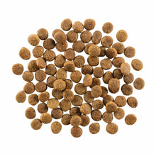 Go! Dog Skin & Coat Care Chicken With Grain 22Lb