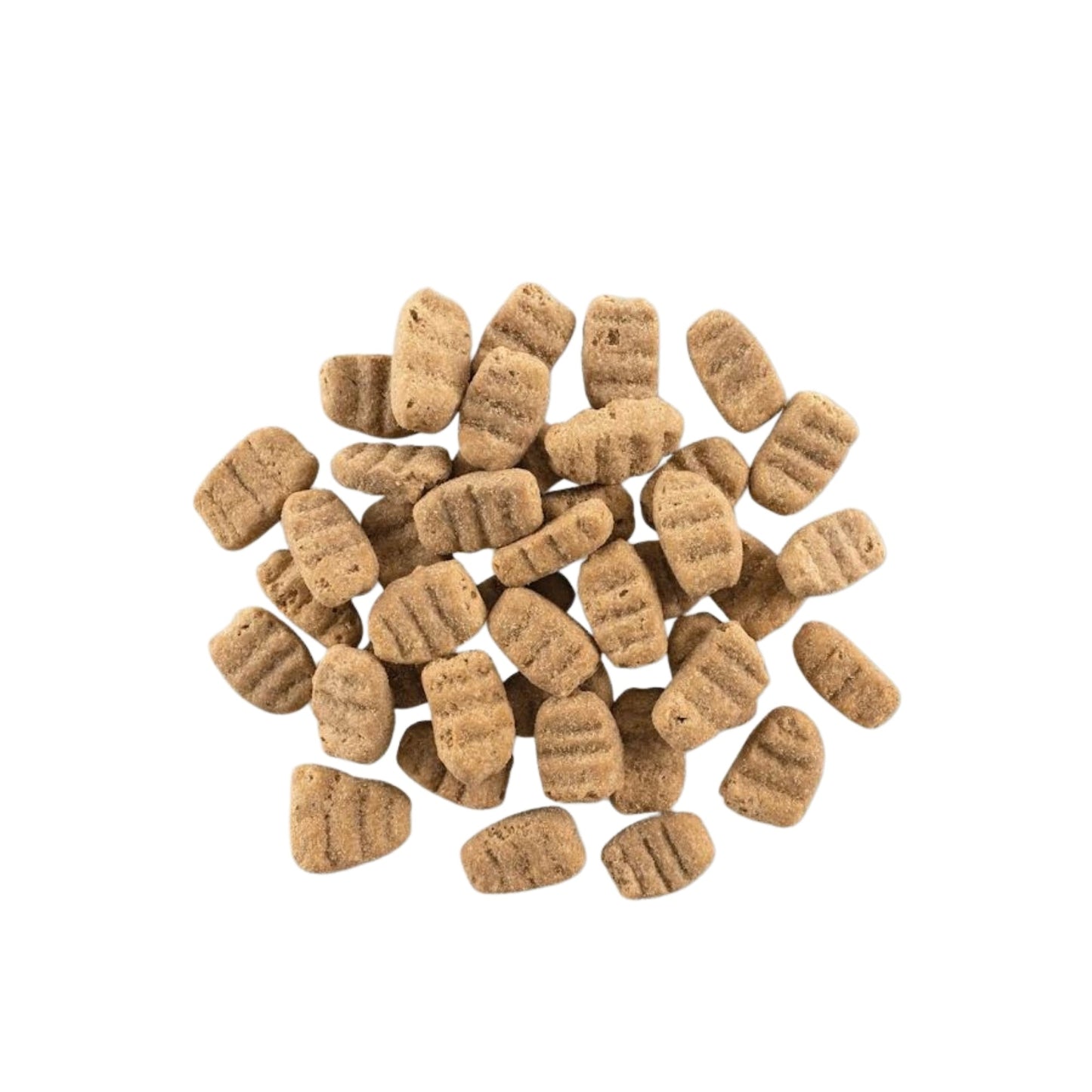 Now Fresh Dog Grain Free Adult Large Breed Turkey 25Lb