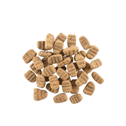 Now Fresh Dog Grain Free Adult Large Breed Turkey 25Lb