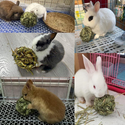 Get Your Furry Friends Hopping with Our Timothy Grass Chew Ball – Perfect Playtime for Bunnies, Hamsters, and Guinea Pigs! 🐰🐹🥳
