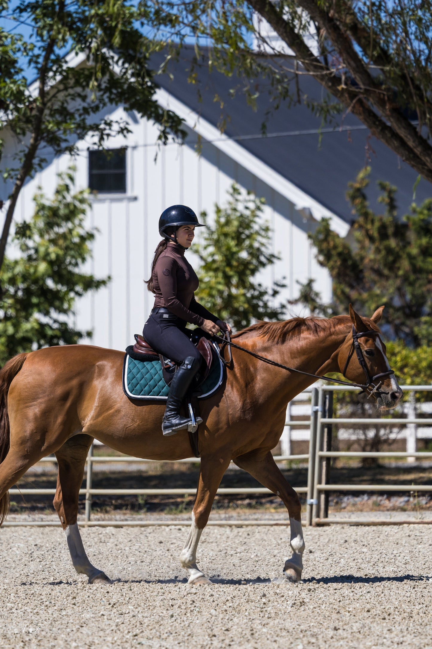 Jump Saddle Pad | Green- Black & White