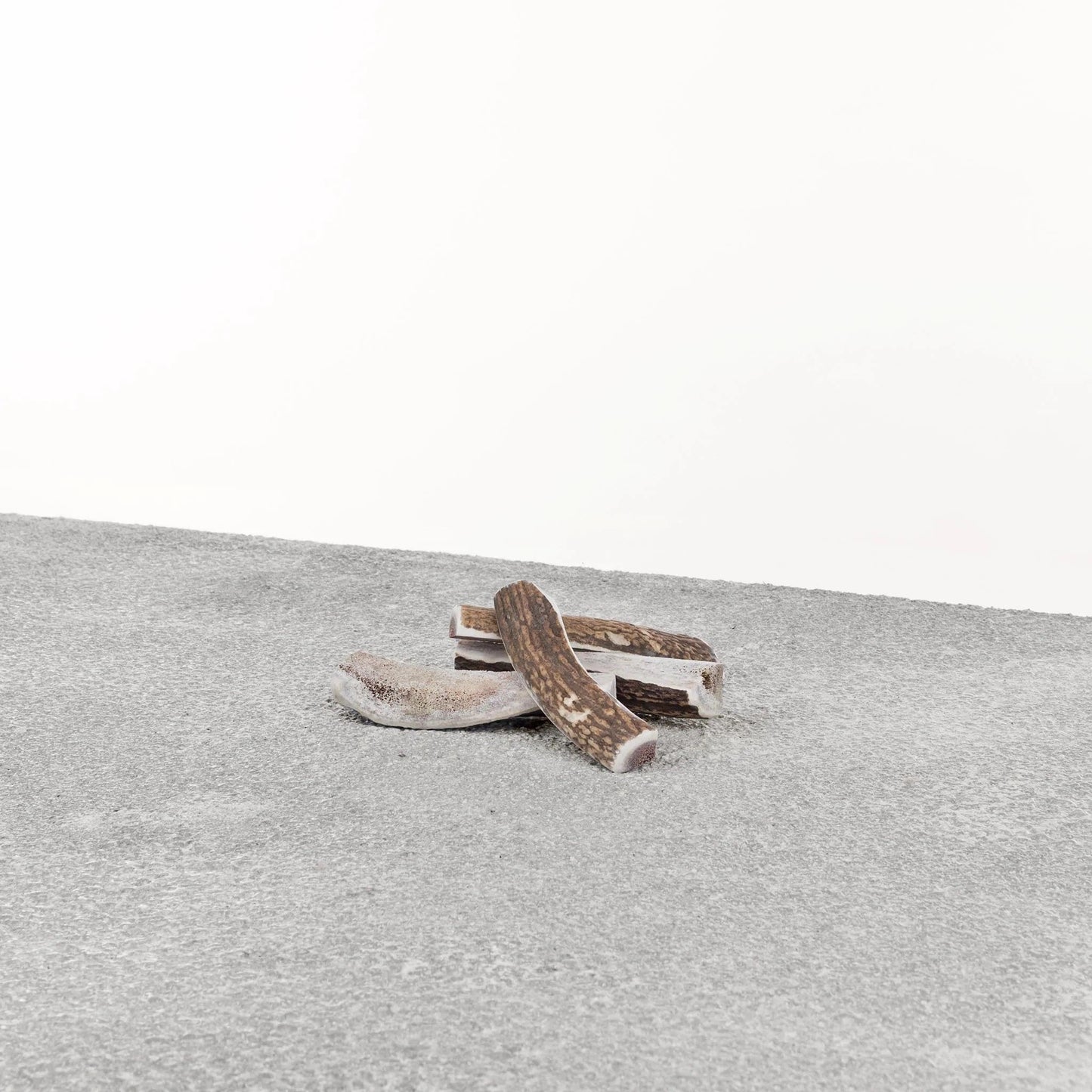Primal Dog Stag Antler Small Default Title
