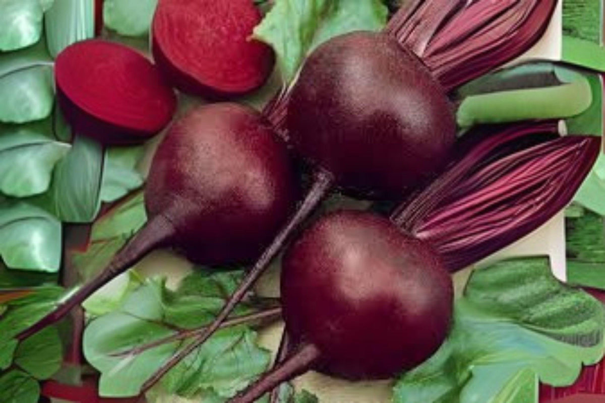 Detroit Dark Red Beet Seeds - Heirloom Beta vulgaris, 40 Pack for Home Garden, Container, or Raised Bed Cultivation
