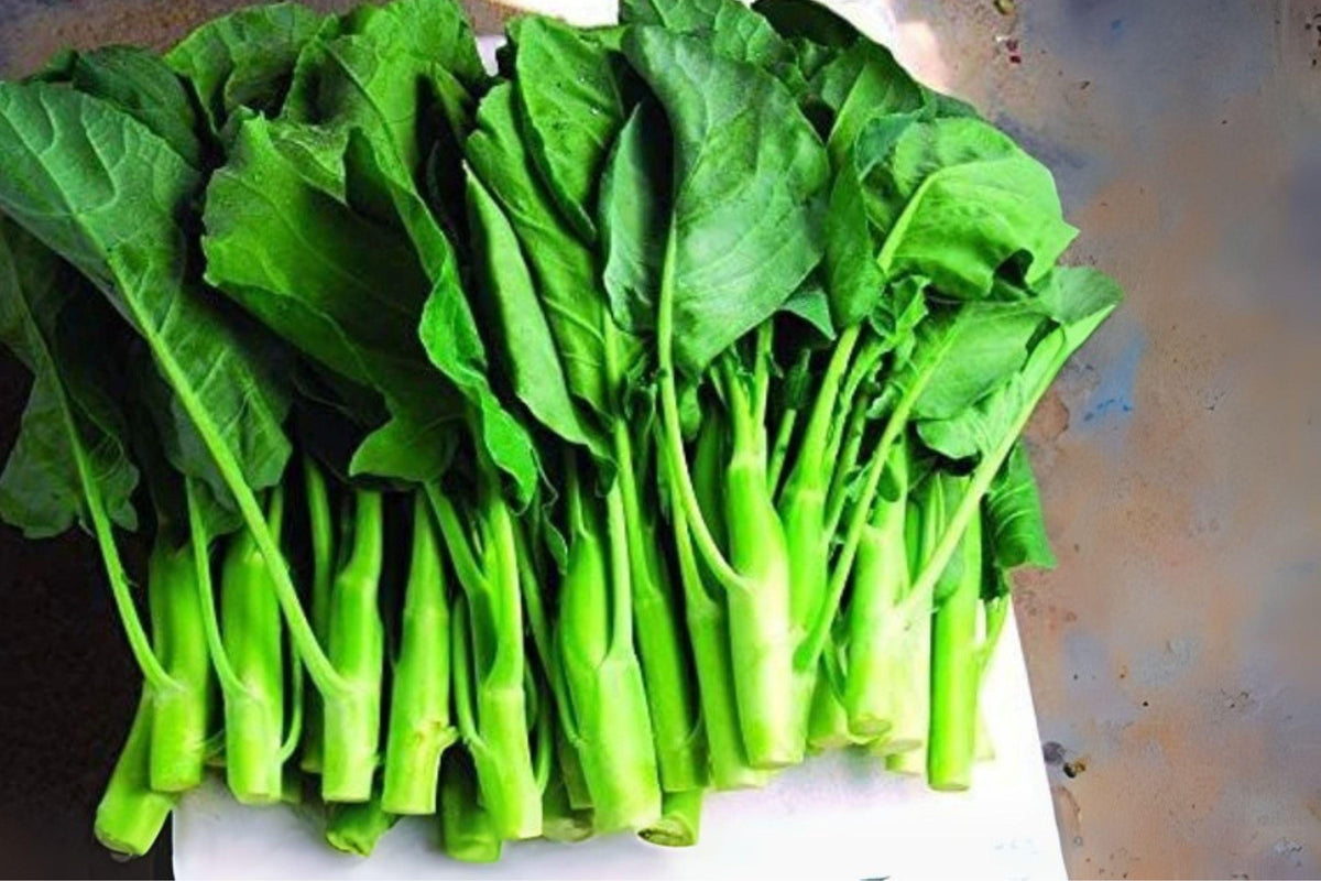 Chinese Broccoli Seeds, Kailaan Gai Lan, Brassica oleracea var. alboglabra, Open-Pollinated, Heirloom Vegetable, 150 Pack