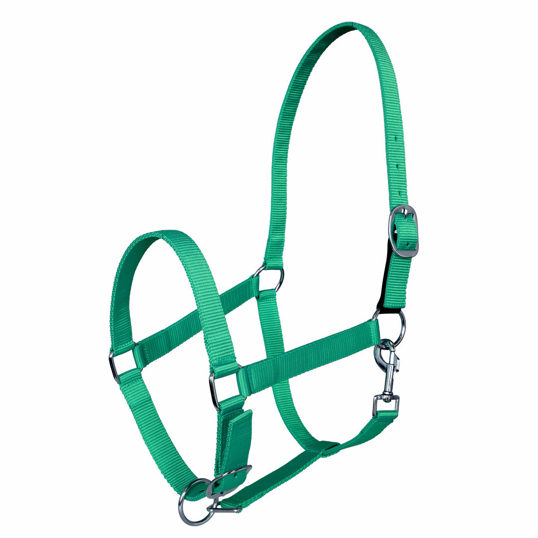 Miller's Adjustable Nylon Halter with Snap and Breakaway Leather