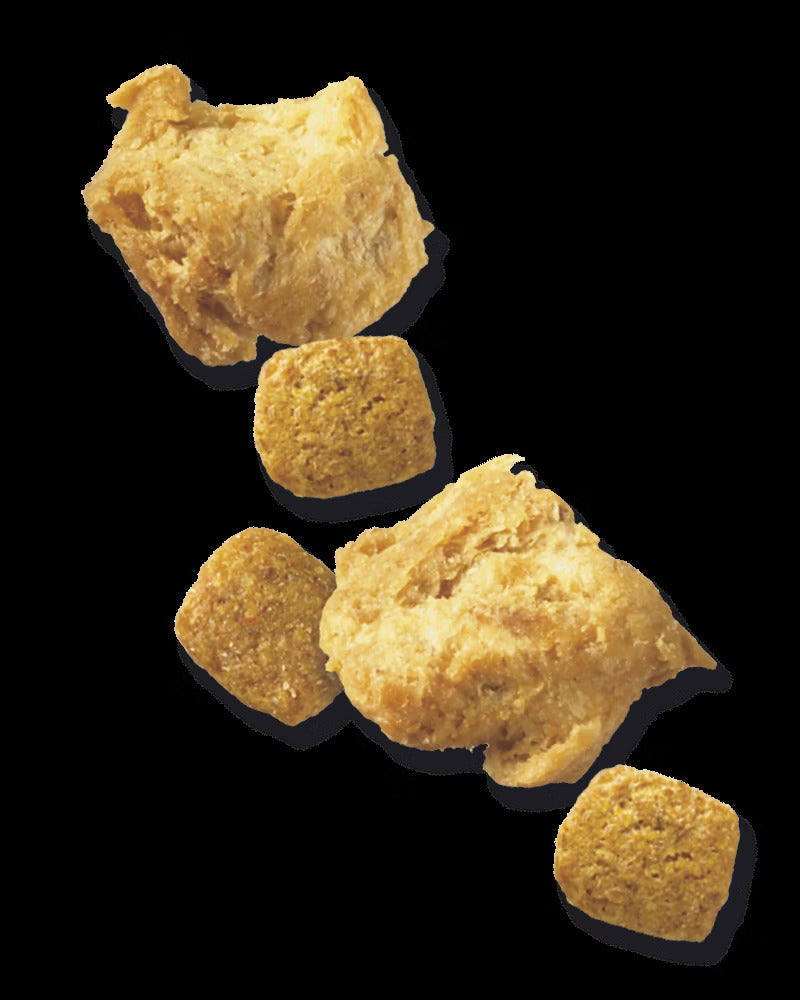 Pro Plan Adult 7+ Complete Essentials Shredded Blend Chicken & Rice Dry Dog Food (6lb)