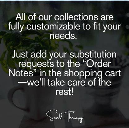 Culinary Herb Seed Collection – 15 Varieties