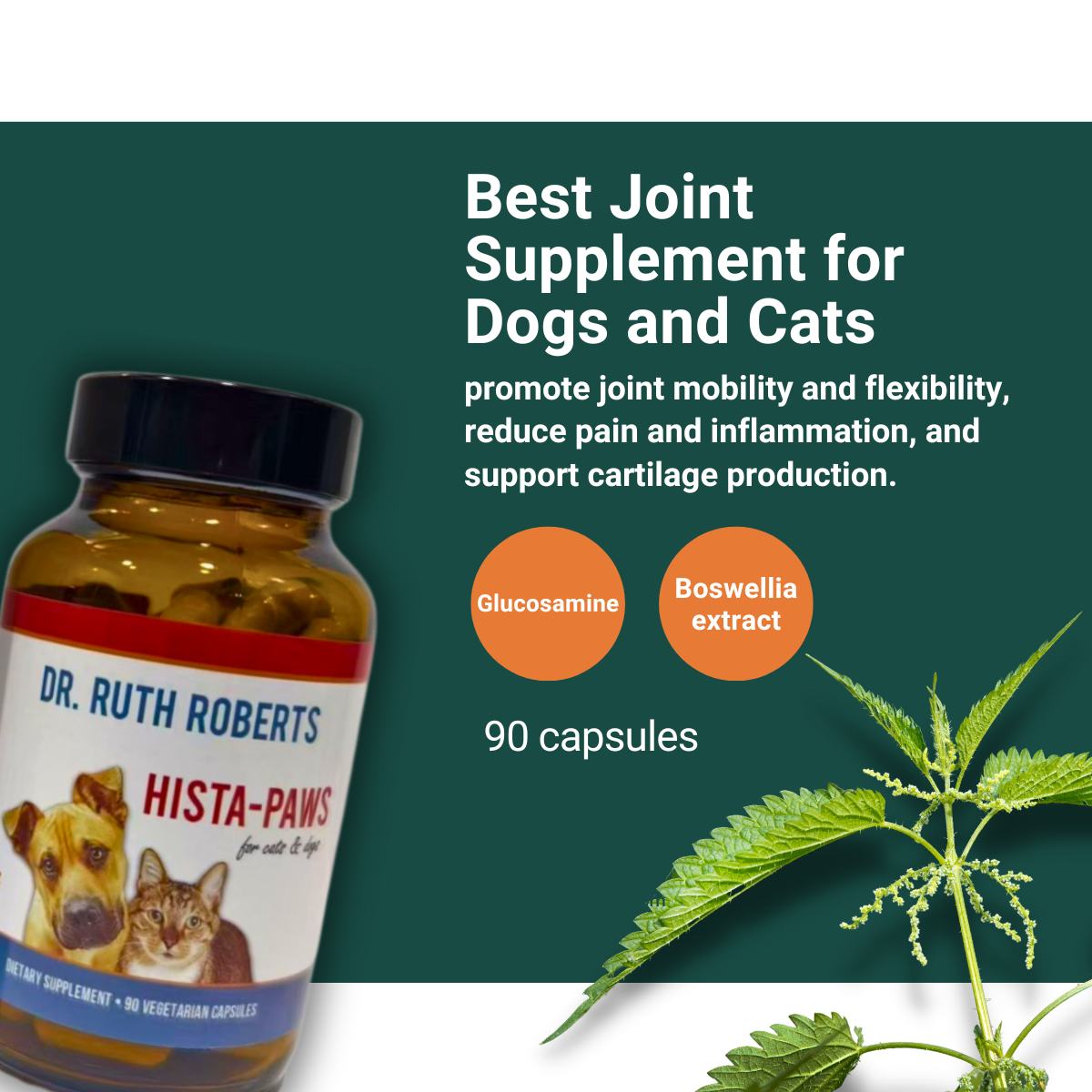Arthri Pawz With Glucosamine For Cats And Dogs