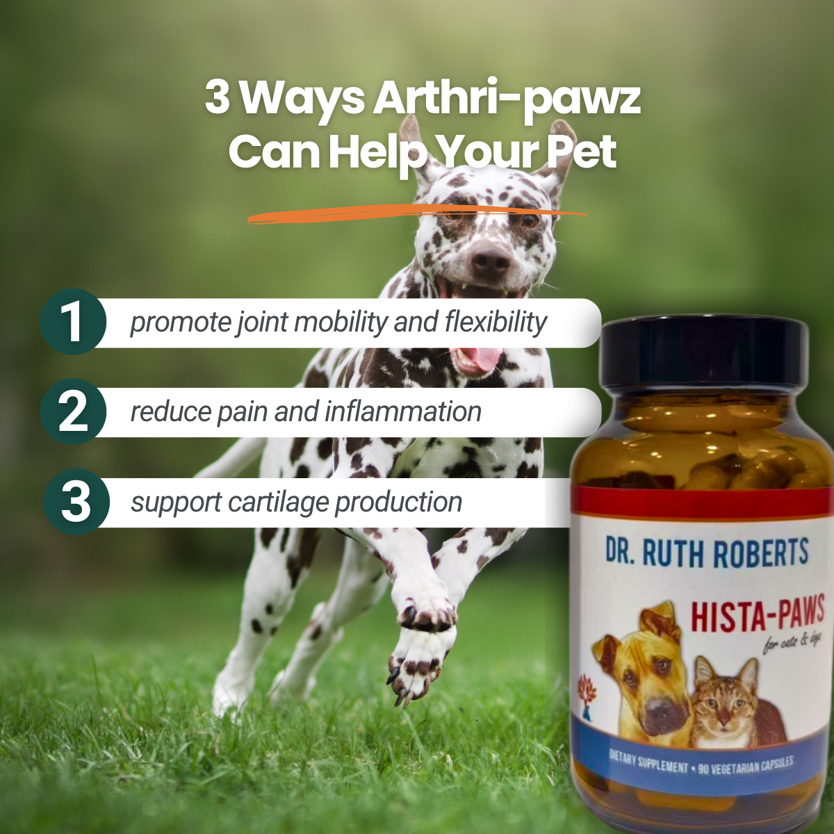 Arthri Pawz With Glucosamine For Cats And Dogs