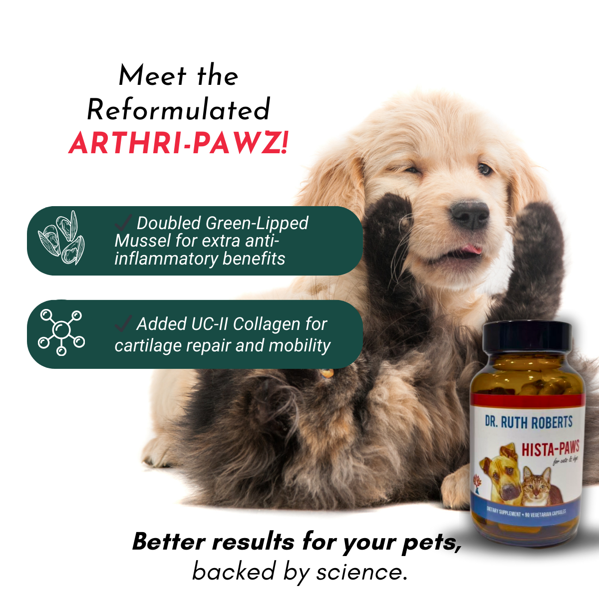 Arthri Pawz With Glucosamine For Cats And Dogs