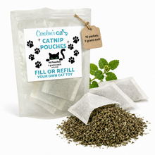 Caroline's Cats Organic Catnip Packets for Cat Toys – Refill Pouches for Flapping Bird, Flopping Fish, and More, 10 Tea Bags