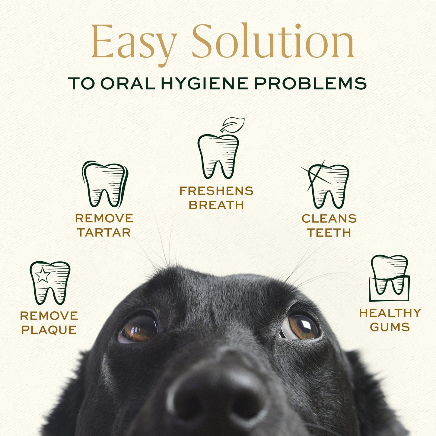 Breedwise Dental Wipes