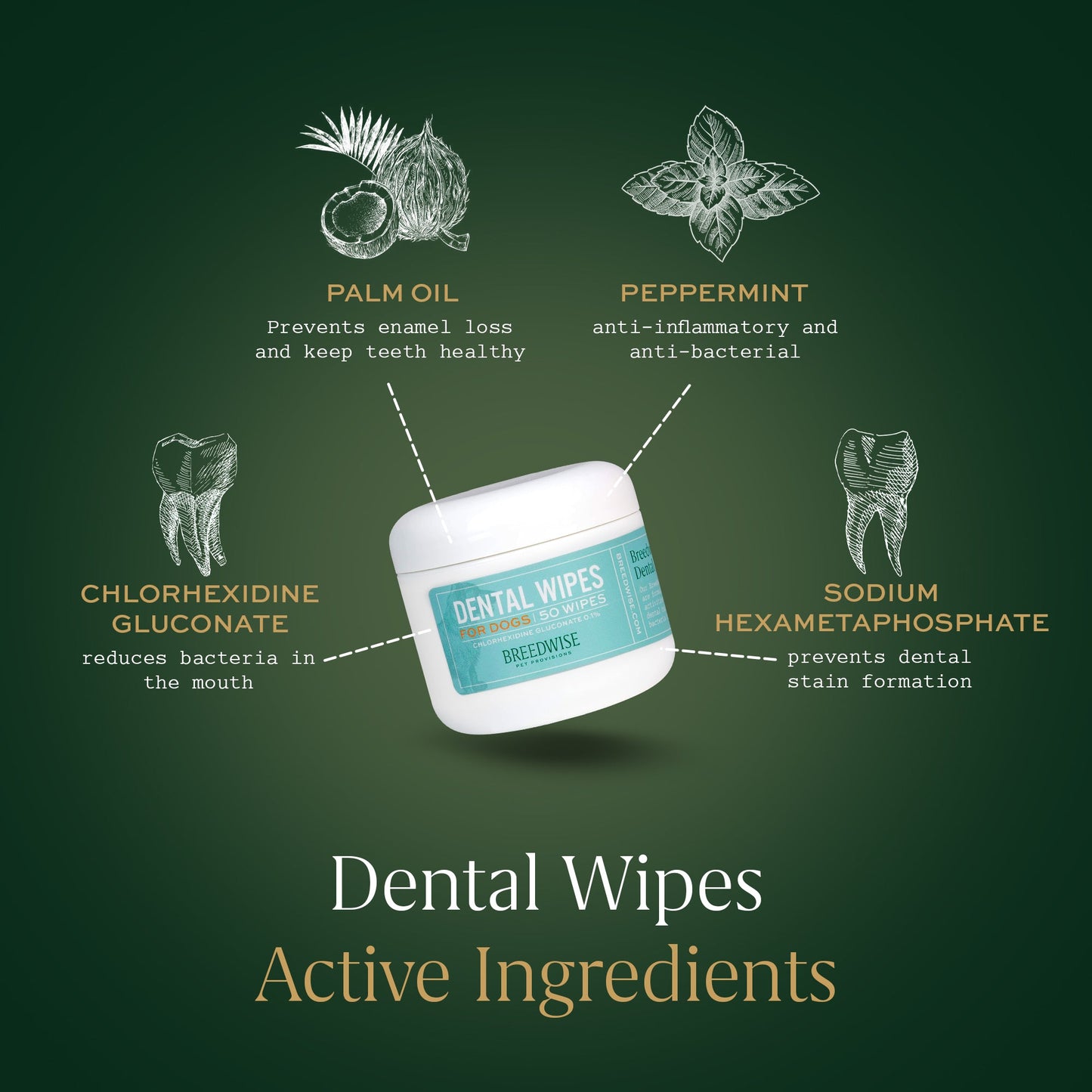 Breedwise Dental Wipes