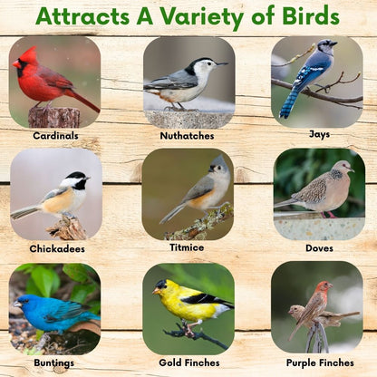 Pollinator & Wild Bird Seed Speedy Blend