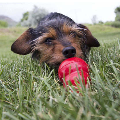 Kong Easy Treat (8oz)