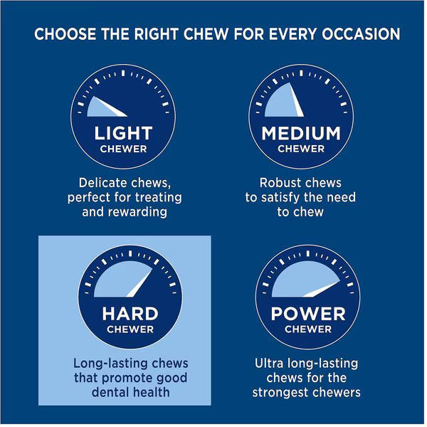 Barkworthies Beef Trachea Dog Treat (6")