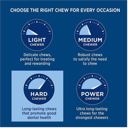 Barkworthies Beef Trachea Dog Treat (6")