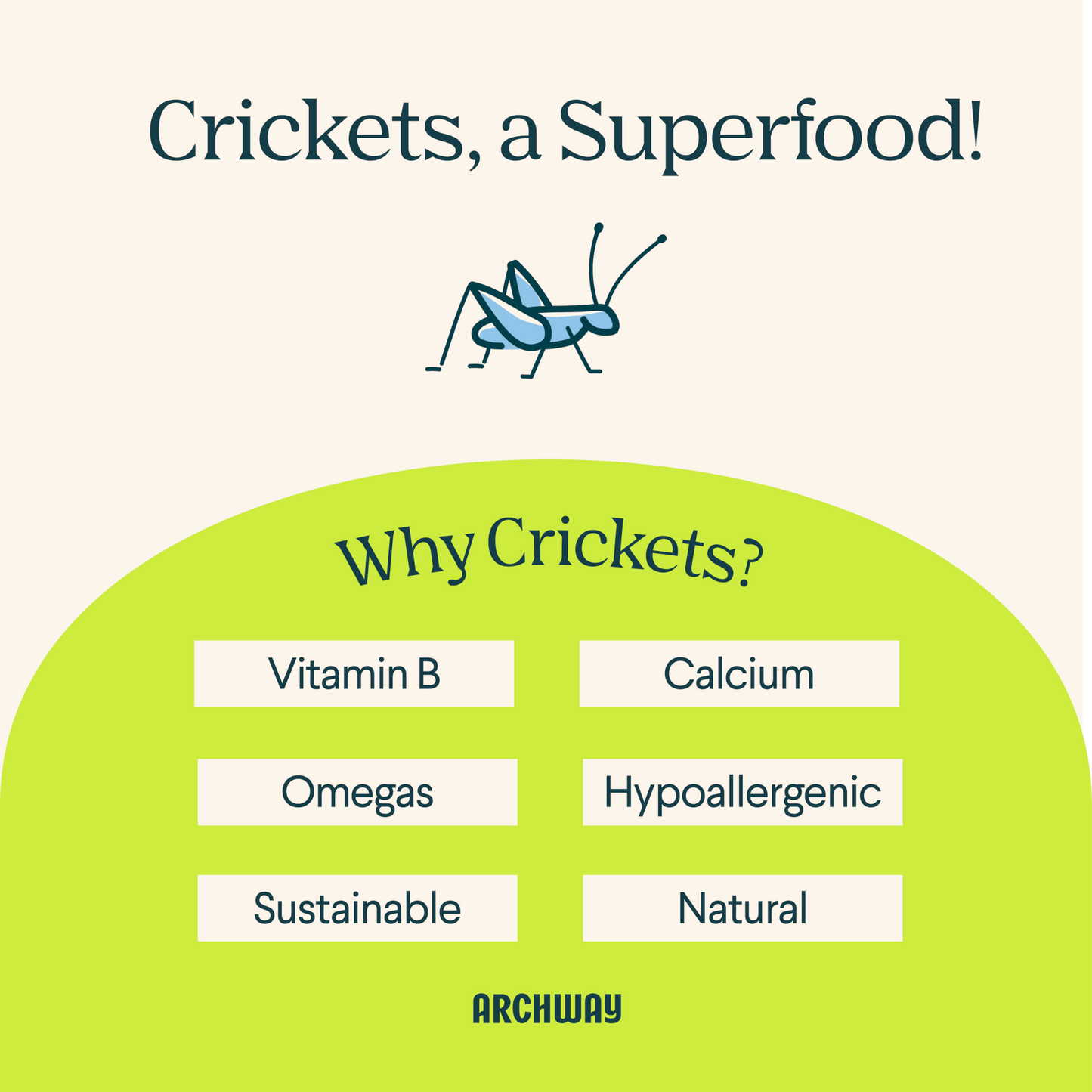 Peanut Butter Cricket Better Biscuit