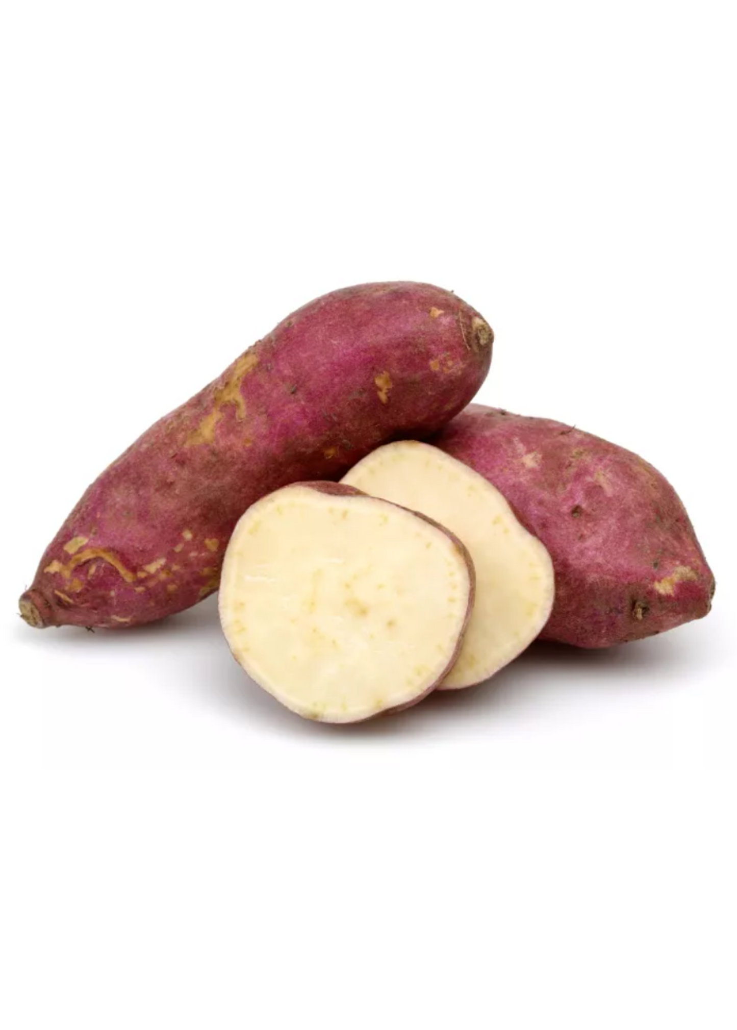 Boniato Sweet Potato Plant - Heirloom Caribbean Variety, Creamy White Flesh, Chestnut Flavor, Tropical Root Vegetable, Ipomoea batatas