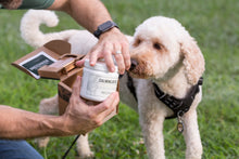 Calming Bites 100-count Jar