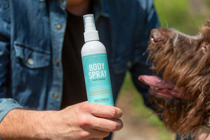 Body Spray (12 Bottles) Wholesale