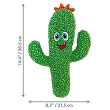 Kong Kickeroo Cactus