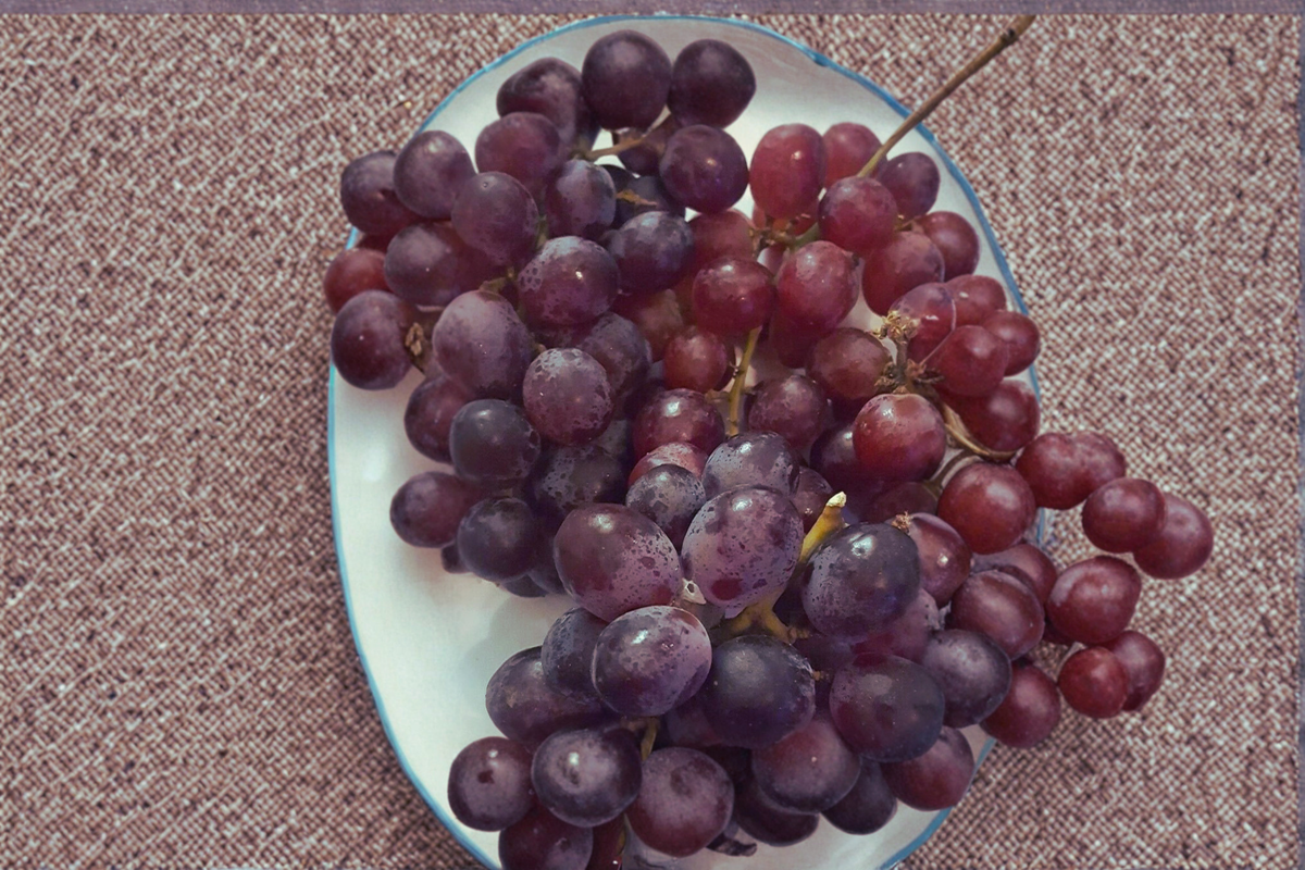Red Globe Grape Vine Live Plant – 1 Gallon Vitis vinifera Table Grape Climbing Vine for Home Garden & Trellis