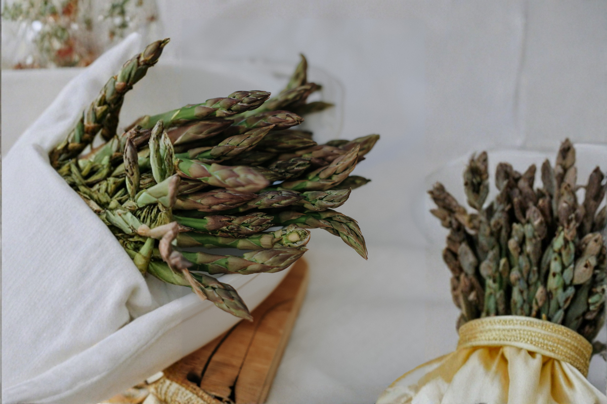 Purple Passion Asparagus 5 Bare Root Crowns – 2-Year Live Asparagus Plants