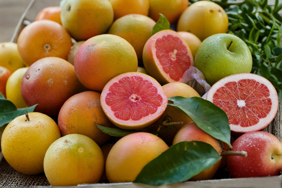 Live Ruby Red Grapefruit Tree | 3-4 Ft Tall Citrus Plant | Evergreen Fruit Tree | Citrus × paradisi