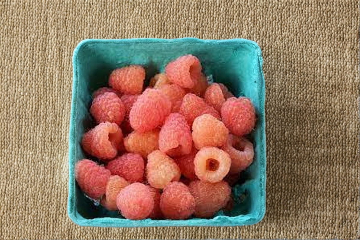 Double Gold Raspberry Plant – 1 Gallon Potted Fruit Bearing Rubus idaeus ‘Double Gold’ Yellow Berry Bush