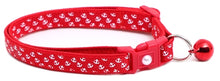Mini Anchors on Red Breakaway Cat Collar