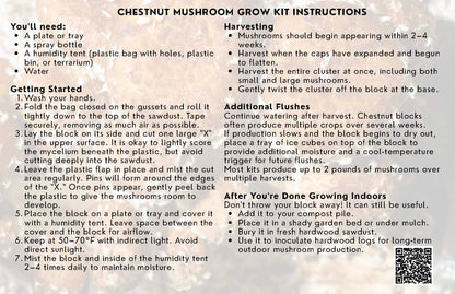 Chestnut Mushroom Grow Kit