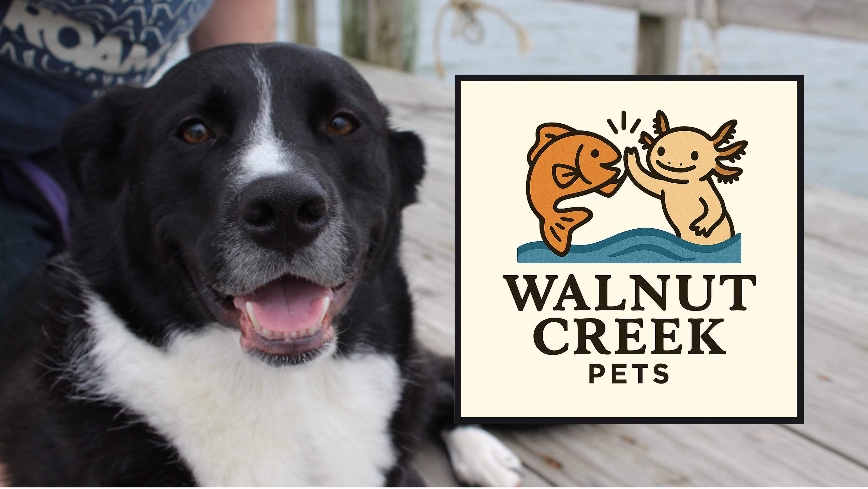 Walnut Creek Pets LLC
