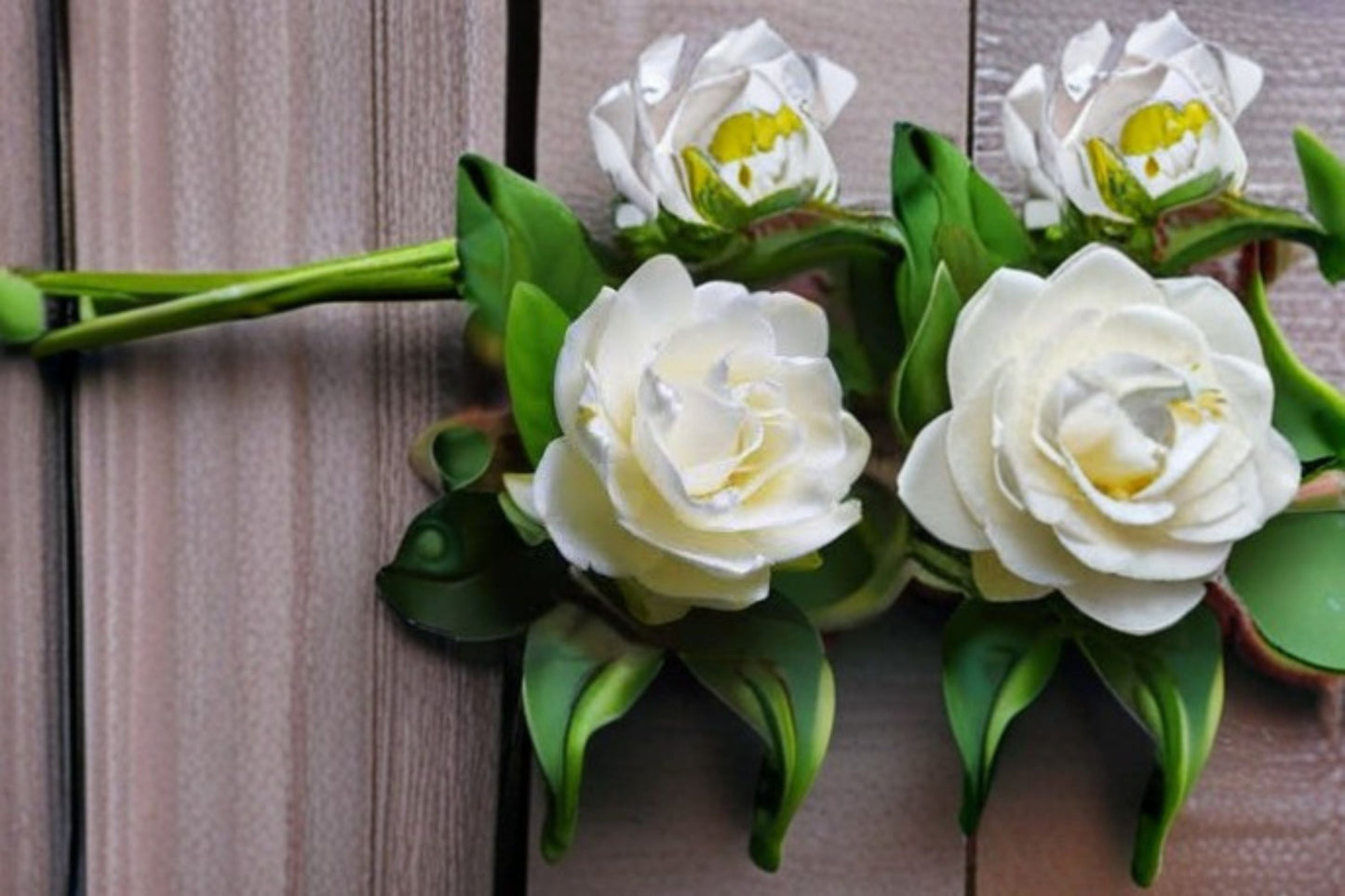 Gardenia Veitchii Live Plant – Fragrant White Evergreen Shrub