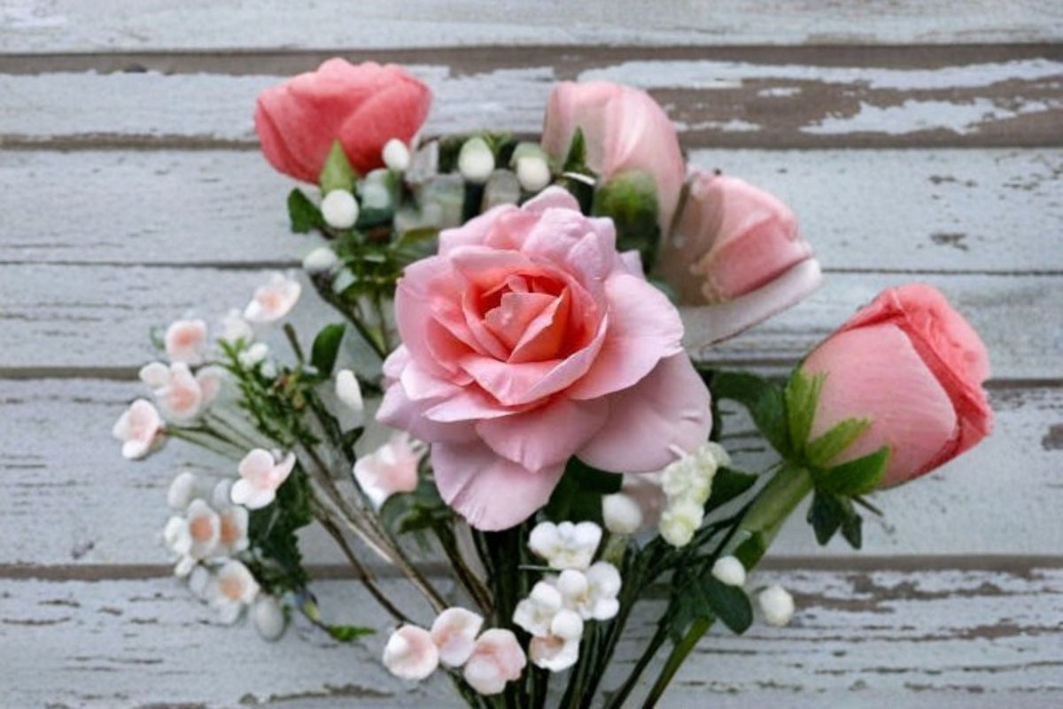 Dames de Chenonceau Climbing Rose Live Plant – Fragrant Salmon Pink Rose