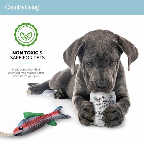 🎣 Durable Fish & Mason Jar Dog Toys – 2 Pack for Aggressive Chewers 🐶