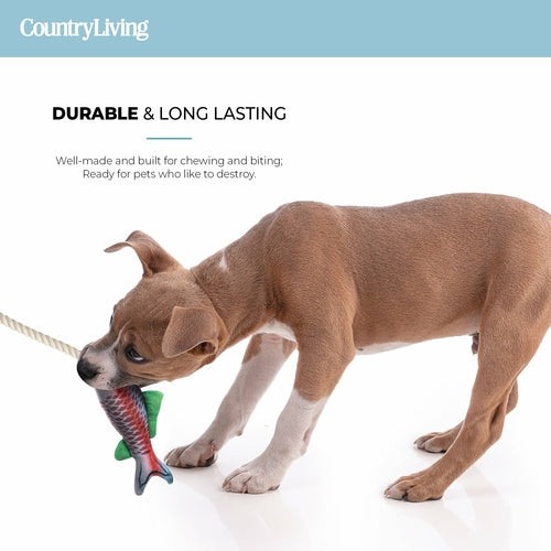 🎣 Durable Fish & Mason Jar Dog Toys – 2 Pack for Aggressive Chewers 🐶