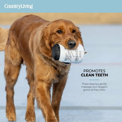 🎣 Durable Fish & Mason Jar Dog Toys – 2 Pack for Aggressive Chewers 🐶